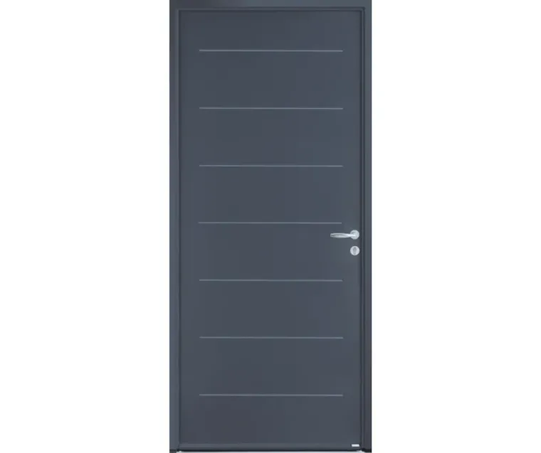 Porte d'entrée Acier VOLTA (AC48), Armentières, BECART